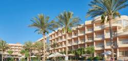 Sea Star Beau Rivage 3927901804