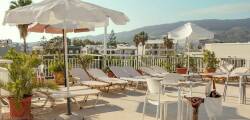 Hotel Koala 12636967228