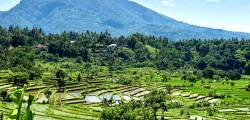 Traditioneel Bali 11931547022