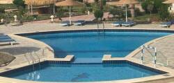 Dolphin Continental 12565542335