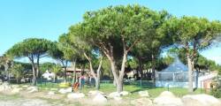 Marina d Oru 11216257707
