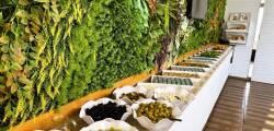 Amsterdam Otel Kemer 11372018650