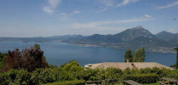Laguna 11617440509