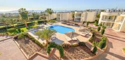 Sharm Reef 11862306545