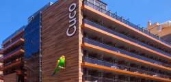 Cuco Hotel 11591338467