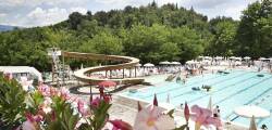 Norcenni Girasole Club 7409957370