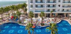 Grand Blue Fafa 11216286213