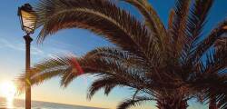 Grand Alassio 11518891877