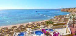 Hotel Reef Oasis Beach Resort 2449687174