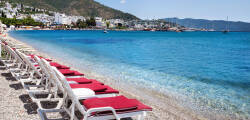 Bingo Bodrum 5* 7775389875