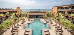 Taghazout Palm 12491422867