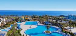 Hotel Miracle Resort 7964056814
