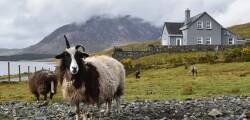 Ontdek Ierland in 8 dagen 12632424367