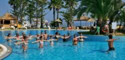 Delphin El Habib 12575837037