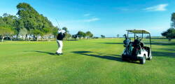 Golfrejse - Hotel Puente Real 11484275140