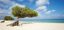 11 dg cruise Caribische Zee Norwegian Jewel 11966150064