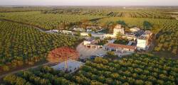 Agriturismo Tenuta Mazzetta 12565261359
