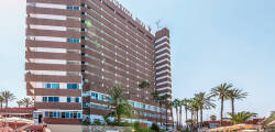 Corona Roja 11421336119