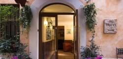 Trevi 11559307253