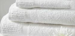Best Western Titian Inn Hotel Venice Airport 11872906843