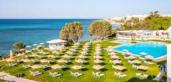 Le Sultan 11321711195