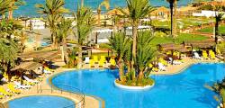 Safira Palms