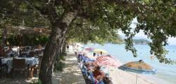 Dassia Beach 11957582425