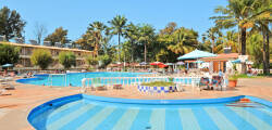 Palma Rima 7335015951