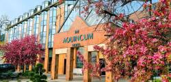 The Aquincum 10319689523