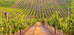Algarve, Alentejo en Lissabon 11729234092