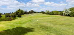 Bayside Salgados 11350507439