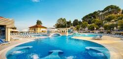 Hotel Pineta 11662596467