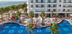Grand Blue Fafa 11146759265