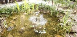 Six Inn Hotel 11433297335