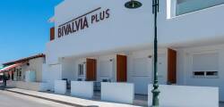 Bivalvia Beach Plus 2230914901