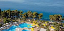 Bluesun Neptun 7973609512