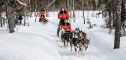 4 dg excursiereis Shortbreak Lapland Sirkantähti 9494142010