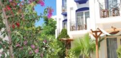 Serpina 12677117021