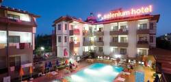 Selenium Hotel 9500538127