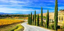 Ontdek het hart van Toscane vanuit Asciano 11852722857