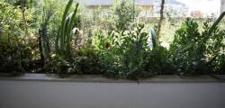 Jele Rooms