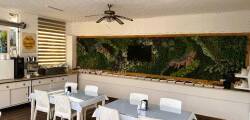 Amsterdam Otel Kemer 12598644557