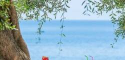 Aurora Beach Hotel Corfu 11056655531