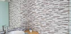 Bivalvia Beach Plus 11862296689