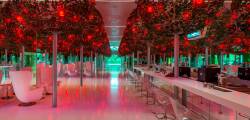 Adam & Eve Hotel 11585258724