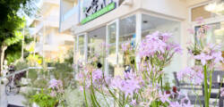 Koala Hotel 12570170932